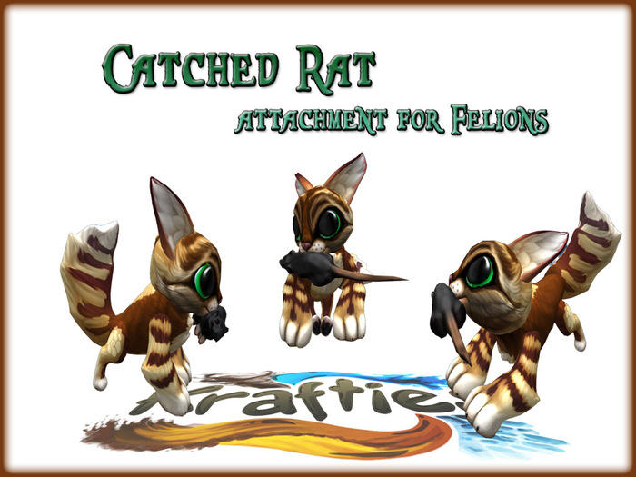 Catched rat