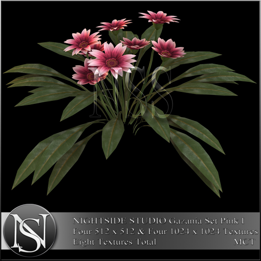 NIGHTSIDE STUDIO PETUNIAS SET PURPLE I DEMO