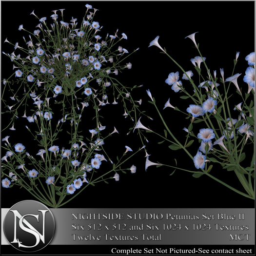NIGHTSIDE STUDIO PETUNIAS SET BLUE II DEMO