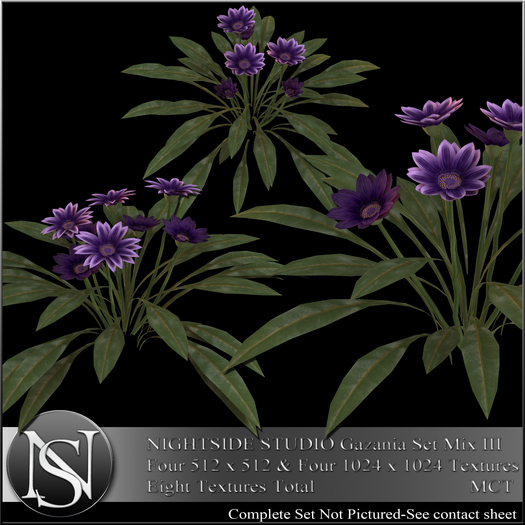 NIGHTSIDE STUDIO PETUNIAS SET PURPLE I