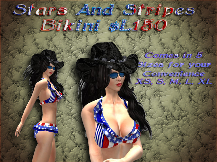 Stars and Stripes Women's Mesh Bathing Suit