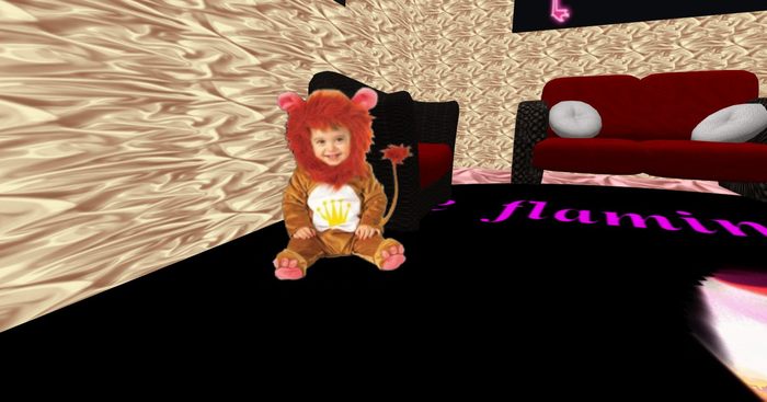 bebe lion freddy creation