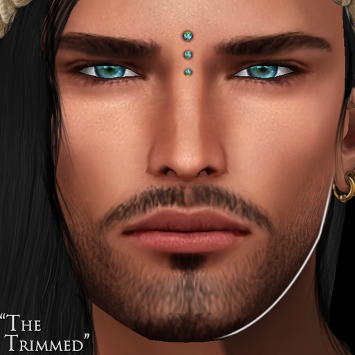 -Labyrinth- Cernunnos Skin (Medium) - The Trimmed