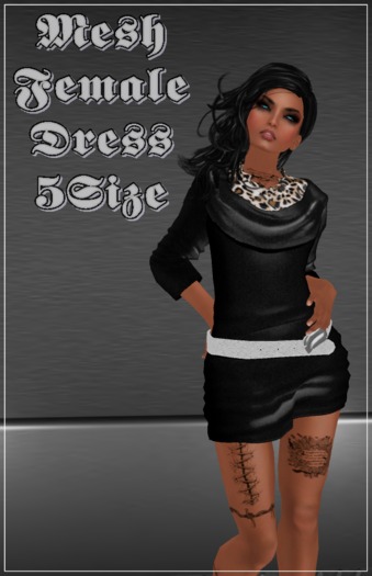 Mesh Female Dress/Belt  Demo