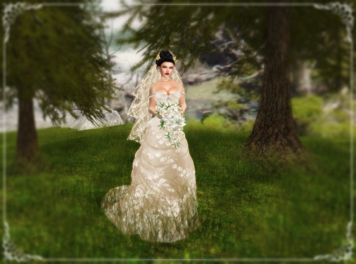 ::::Beautiful Bride Dress Mesh::::