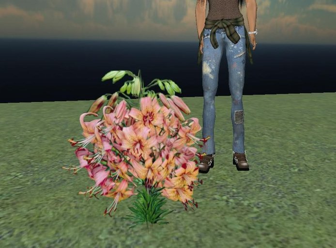 Second Life Marketplace FLOWERS Tiger Lily Lilies 1 Prim 16 Faces