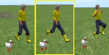 Wingsong Duck Companion Box