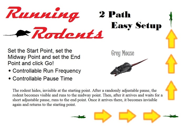 Grey Mouse that runs across the floor (Two-Paths)