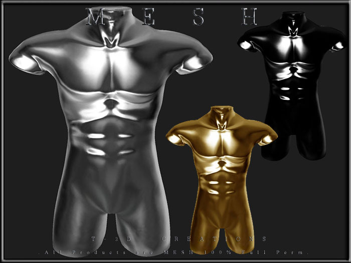 T-3D Creation [Display No.8] MESH - Full Perm