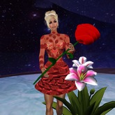Valentine´s day Dress PROMO