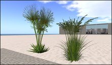 Plant Set 05 (only 1 Prim per plant) by Xara Rau Design