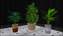 Plant Set 03 by Xara Rau Design