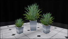 Plant Set 01 by Xara Rau Design