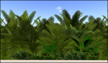 Privacy Screen - Tropical Wall 01 by Xara Rau Design