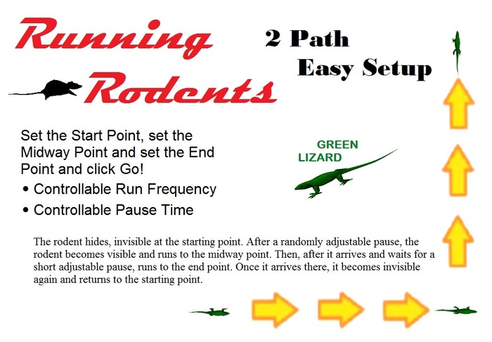 Green Lizard that runs across the floor (Two-Paths)