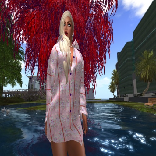 Star Spirit BF Shirt/kayla design bagged