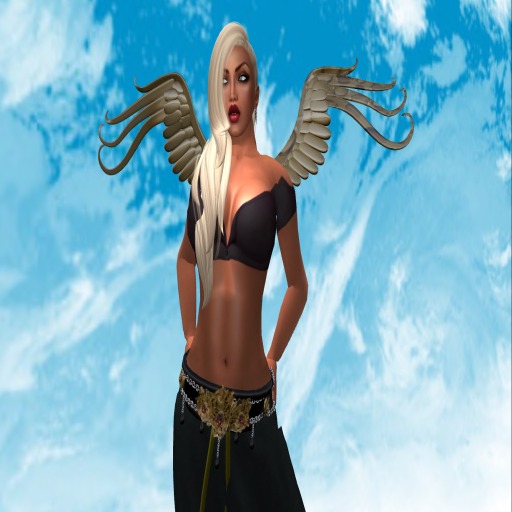 Angel Black Mesh outfit