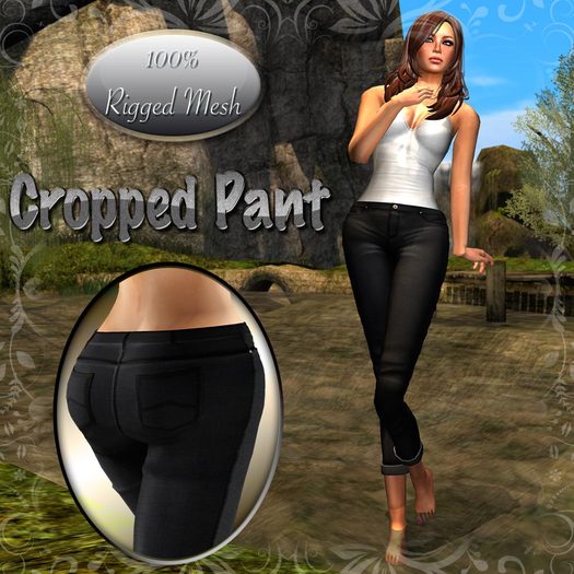 100% MESH RIGGED Cropped Pants Black