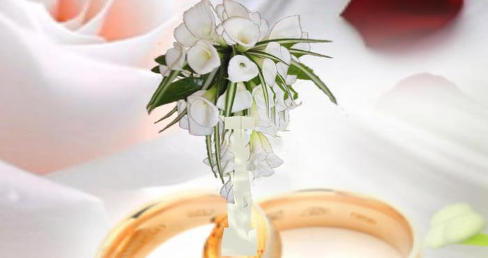 colonne calla blanc