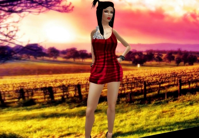 M.I.T~ Mesh Red Dress