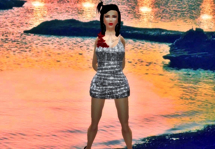 M.I.T~ Mesh Silver Dress