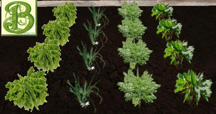 Carrots, Lettuce, Onions& Okra ,  4x4 Patch - Ultra Light Mesh, Prim .5LI, Copy/ Mod