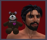 Wingsong Teddy Bear Shoulder Buddy V2 Box