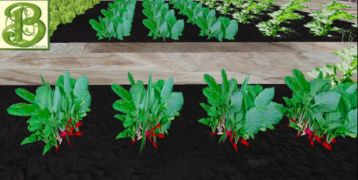 Radish Row , 1 Prim = 4 plants - Ultra Light, Prim .5LI, 2 linked = 1 prim, Copy/ Mod