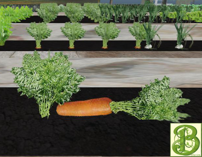 Carrot Plant, 1 Prim- Ultra Light, Prim .5LI, 2 linked = 1 prim, Copy/ Mod