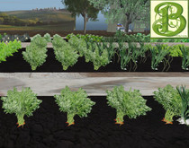 Carrot Row, 1 prim = 4 plants- Ultra Light, Prim .5LI, 2 linked = 1 prim, Copy/ Mod