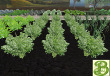 Carrot  Patch, 1 prim = 15 plants - Ultra Light, Prim .5LI, 2 linked = 1 prim, Copy/ Mod