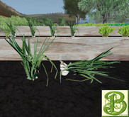 Onion Row of 4 - Ultra Light, Prim .5LI, 2 linked = 1 prim, Copy/ Mod