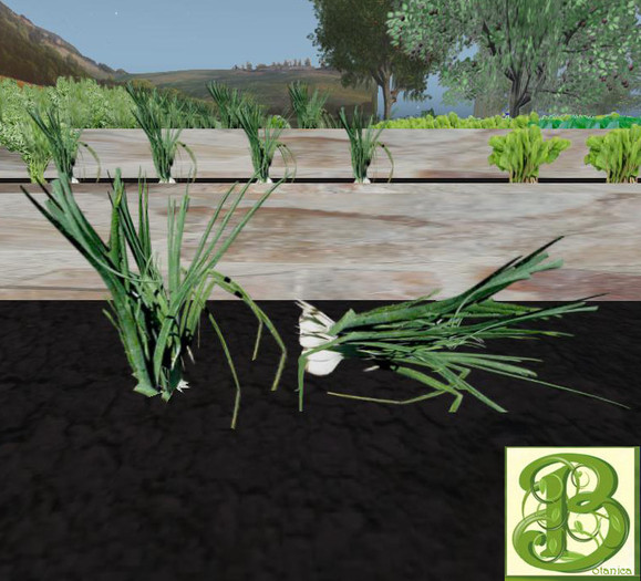 Onion Plant, 1 Prim- Ultra Light, Prim .5LI, 2 linked = 1 prim, Copy/ Mod