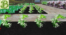 Young Sweet Pea Row- Ultra Light, Prim .5LI, 2 linked = 1 prim, Copy/ Mod