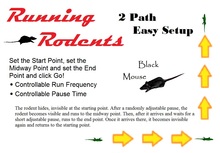 Black Mouse that runs across the floor (Two-Paths) COPY