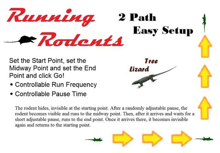 Tree Lizard that runs across the floor (Two-Paths) COPY