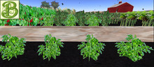 Blueberry Row - Ultra Light, Prim .5LI, 2 linked = 1 prim, Copy/ Mod