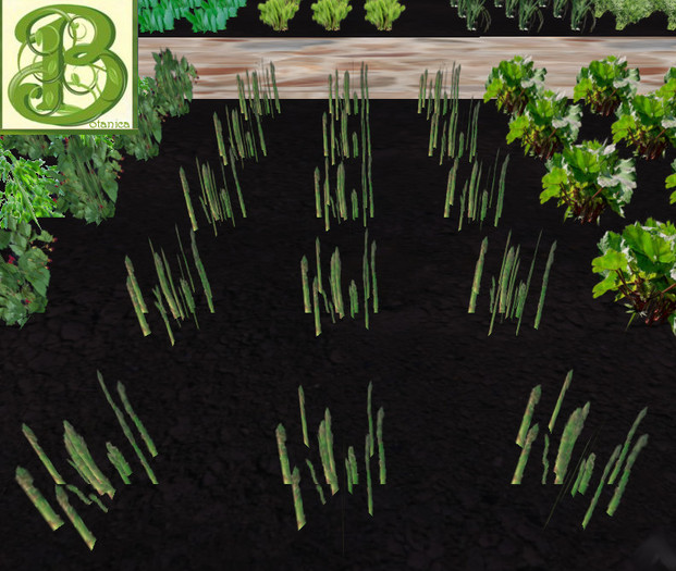 Asparagus  Patch, 1 prim = 15 plants - Ultra Light, Prim .5LI, 2 linked = 1 prim, Copy/ Mod