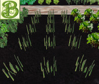 Asparagus  Patch, 1 prim = 15 plants - Ultra Light, Prim .5LI, 2 linked = 1 prim, Copy/ Mod