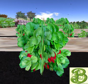 Single Strawberry  Plant, 1 Prim - Ultra Light, Prim .5LI, 2 linked = 1 prim, Copy/ Mod