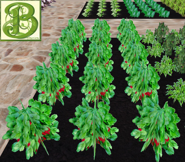 Strawberry Patch, 1 prim = 15 plants - Ultra Light, Prim .5LI, 2 linked = 1 prim, Copy/ Mod
