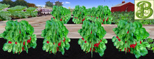 Strawberry , 1 Prim = 4 palnts - Ultra Light, Prim .5LI, 2 linked = 1 prim, Copy/ Mod