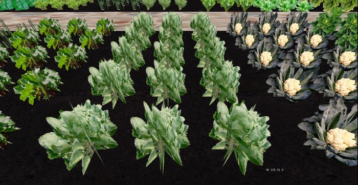 Brussels Sprouts Patch, 1 prim = 15 plants - Ultra Light, Prim .5LI, 2 linked = 1 prim, Copy/ Mod