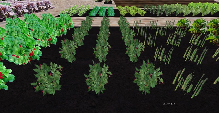 Blackberry Patch, 1 prim = 15 plants - Ultra Light, Prim .5LI, 2 linked = 1 prim, Copy/ Mod