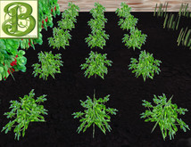 Blueberry Patch, 1 prim = 15 plants - Ultra Light, Prim .5LI, 2 linked = 1 prim, Copy/ Mod