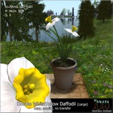 -Hanaya- Double WhiteYellow Daffodil (Large) 