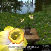 -Hanaya- Tall Mesh Planter with Orchids