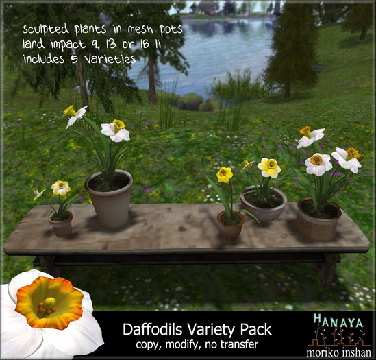 -Hanaya- Tall Mesh Planter with Orchids