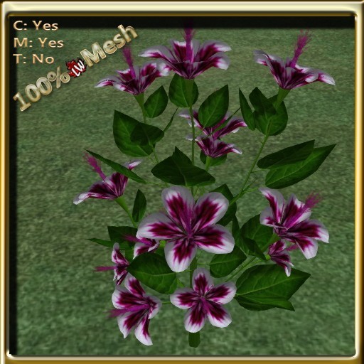 LW_HibiscusTreePurpleWhite2