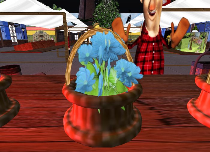 blue plant in a basket